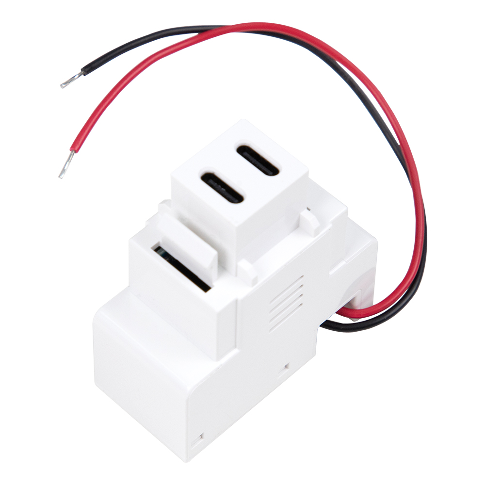 Зарядное устройство Keystone Jack с двумя разъемами USB-C мощностью 20 Вт | Проводной разъем PD для настенных розеток