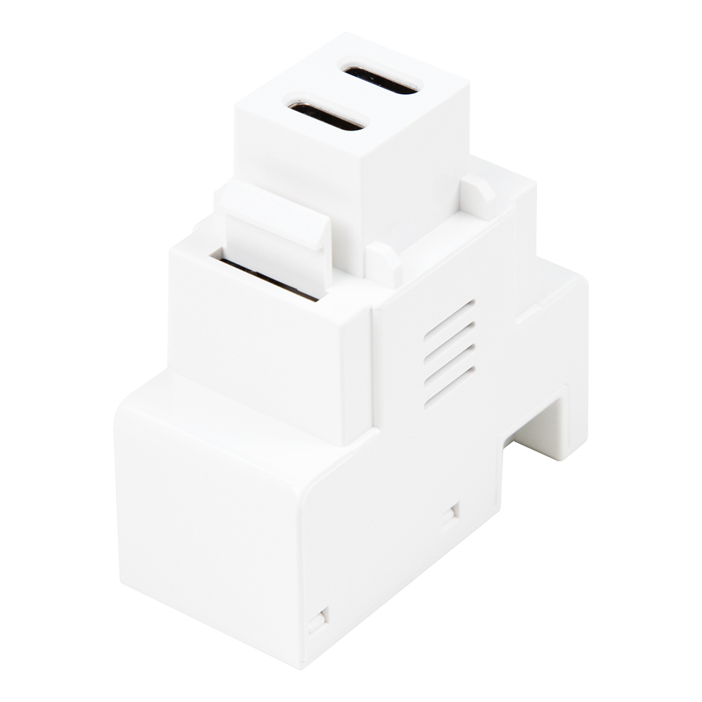 Зарядное устройство Keystone с двумя портами USB-C мощностью 20 Вт | Стандартный модуль с разъемом PD Type-C