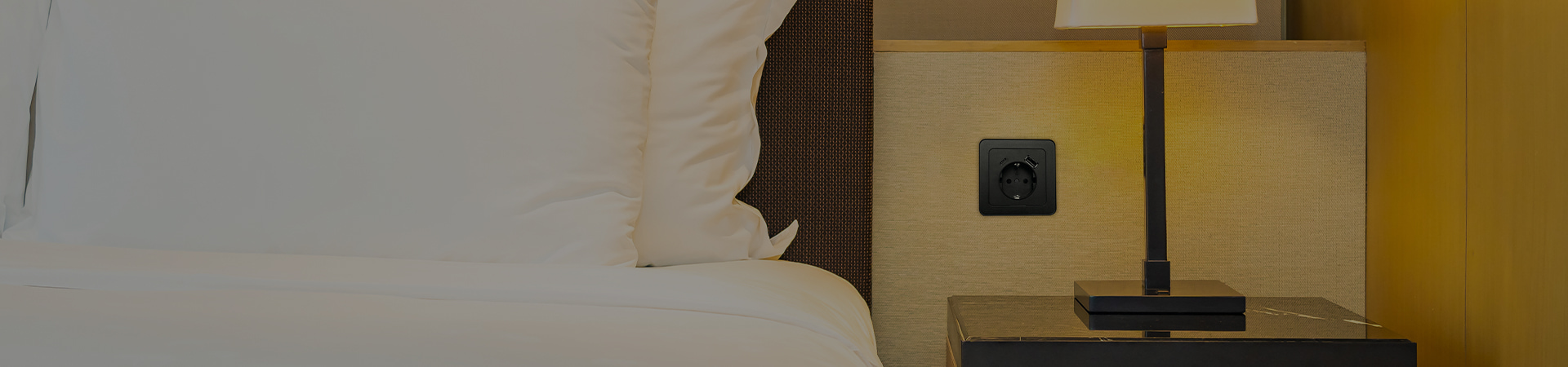 bannerul PC al Soluțiilor